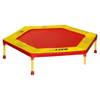 Батут Leco-IT Home 120см 2791543