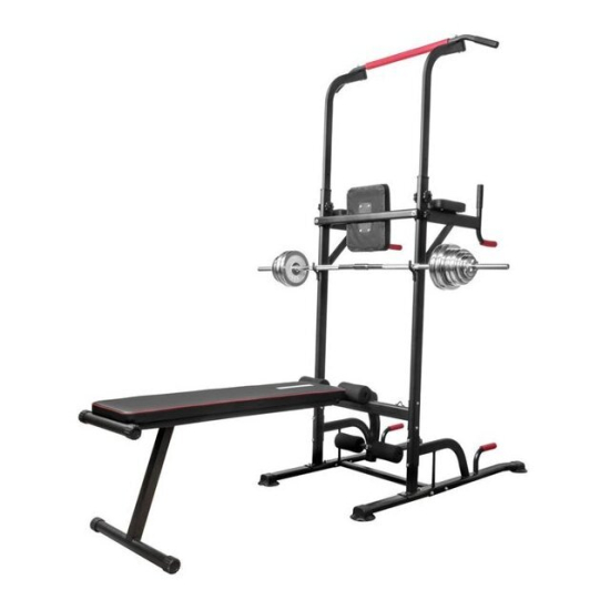 Турник с брусьями Alpin Athletics G-11