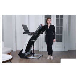 Электрическая беговая дорожка Orlauf Larus (серый) 10754742