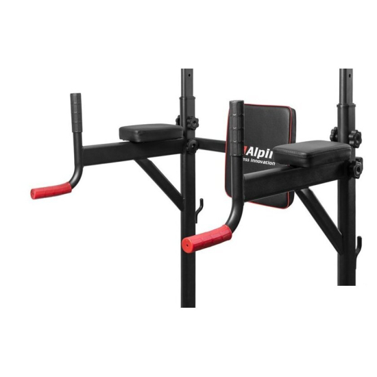 Турник с брусьями Alpin Athletics G-11