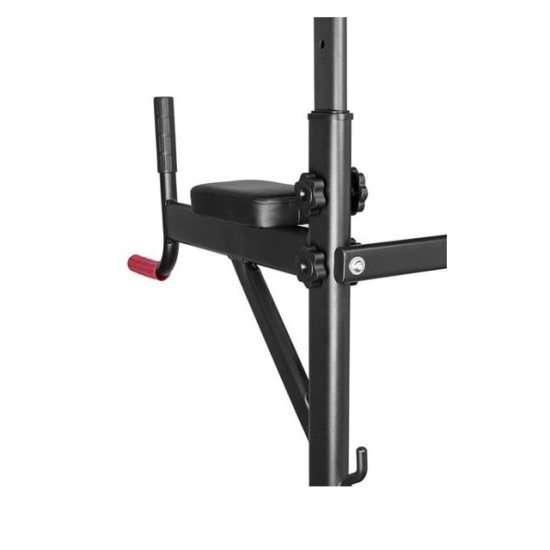 Турник с брусьями Alpin Athletics G-11