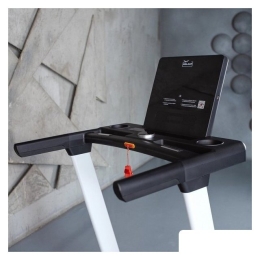 Электрическая беговая дорожка Orlauf Harrier (серый) 10229525