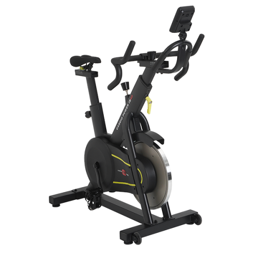 Вертикальный велотренажер CardioPower IB40