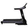 Беговая дорожка CardioPower TR100