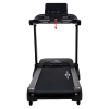 Беговая дорожка CardioPower TR100