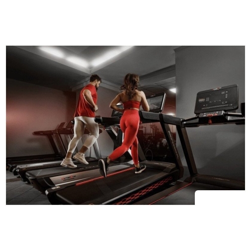 Электрическая беговая дорожка UltraGym UG-Power 009
