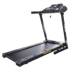 Электрическая беговая дорожка DFC Longtek T-X510G