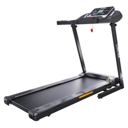 Электрическая беговая дорожка DFC Longtek T-X510G 10669907