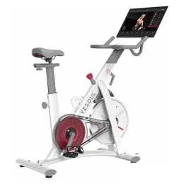 Велотренажер Yesoul BS3-B Pro Plus BS3-W-21.5 8180922