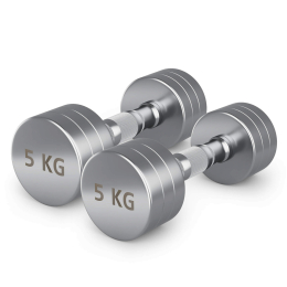 Гантель UNIX Fit PRO круглая хромированная 5 кг, 2 шт.
