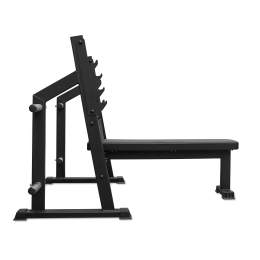 Скамья для жима горизонтальная BRONZE GYM PARTNER AL-304L