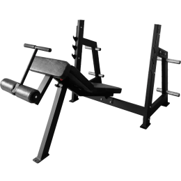 Силовая скамья Bronze Gym AL-306 8168563