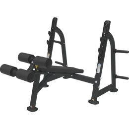 Силовая скамья Bronze Gym BR-1013 5564029