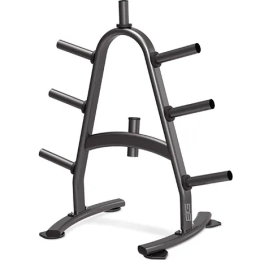 Стойка для дисков профессиональная BRONZE GYM BR-1022