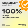 Палка гимнастическая профессиональная BRONZE GYM БОДИБАР, 2 кг