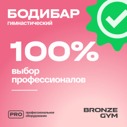 Палка гимнастическая профессиональная BRONZE GYM БОДИБАР, 3 кг