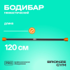 Палка гимнастическая профессиональная BRONZE GYM БОДИБАР, 6 кг
