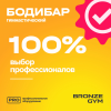 Палка гимнастическая профессиональная BRONZE GYM БОДИБАР, 7 кг