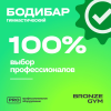 Палка гимнастическая профессиональная BRONZE GYM БОДИБАР, 8 кг