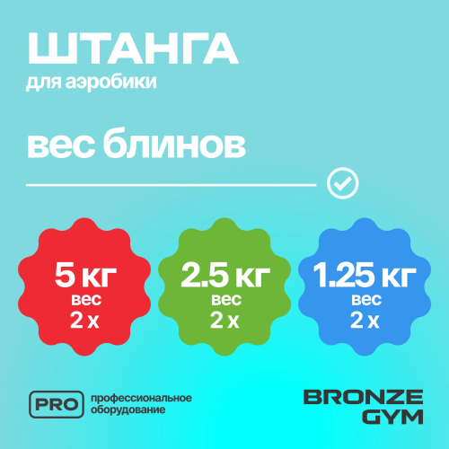 Штанга для аэробики BRONZE GYM БОДИПАМП (гриф, весовые диски 2x1,25кг, 2x2, 5кг, 2x5кг, пара замков)