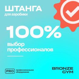 Штанга для аэробики BRONZE GYM БОДИПАМП (гриф, весовые диски 2x1,25кг, 2x2, 5кг, 2x5кг, пара замков)