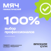 Мяч гимнастический GYM BALL  ANTI-BURST, 65 см.