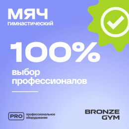 Мяч гимнастический GYM BALL  ANTI-BURST, 65 см.