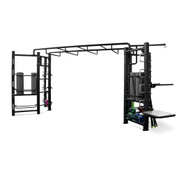 Функциональный комплекс с рукоходом BRONZE GYM PARTNER FL-01