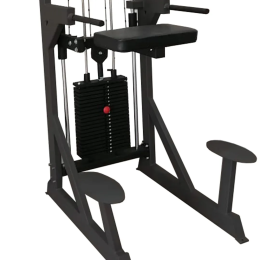 Гравитрон профессиональный BRONZE GYM PARTNER ML-701