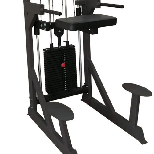 Гравитрон профессиональный BRONZE GYM PARTNER ML-701