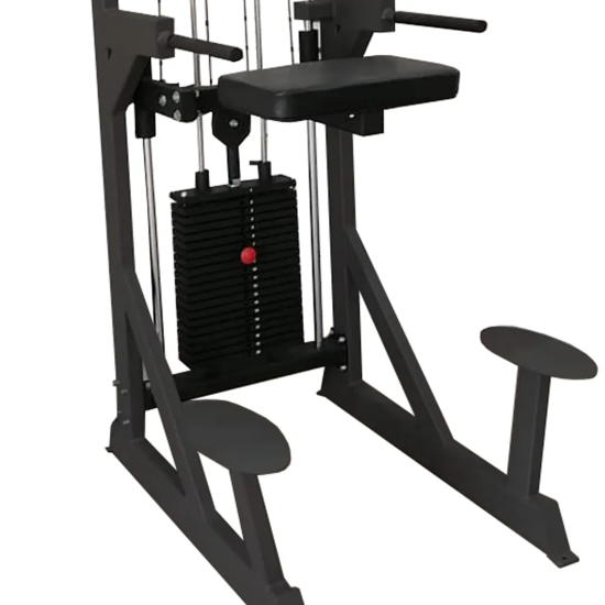 Гравитрон профессиональный BRONZE GYM PARTNER ML-701