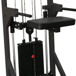 Гравитрон профессиональный BRONZE GYM PARTNER ML-701