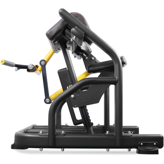 Бицепс профессиональный BRONZE GYM PL-1713