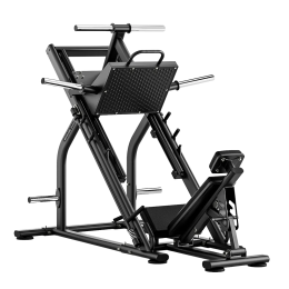 Жим ногами под углом 45 градусов BRONZE GYM RAVE RV25