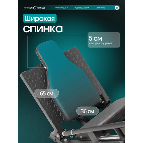 Жим ногами/Гакк-присед OXYGEN FITNESS BROOKS