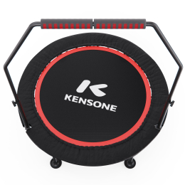 Батут для фитнеса DFC KENSONE 40" BSD-40-Black с поручнем