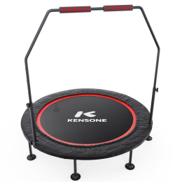 Батут для фитнеса DFC KENSONE 48" BSD-48-Black с поручнем