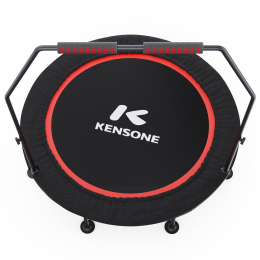Батут для фитнеса DFC KENSONE 48" BSD-48-Black с поручнем