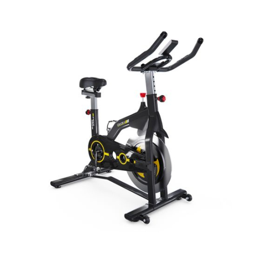 Cпин-байк DFC CHAOKE CK-2