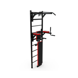 Шведская стенка с опциями DFC Lite VT-6006 (D-1235)