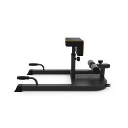 Тренажер для приседаний/гиперэкстензия DFC LEXPA D282