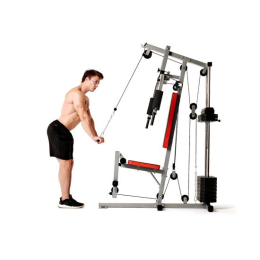 Силовой комплекс DFC HomeGym D7000-60 / стек 60 кг