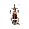 Силовой комплекс DFC HomeGym D7001-60 / стек 60 кг