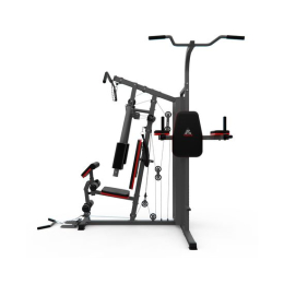 Силовой комплекс DFC D7004 (D7003 + опция брусья)