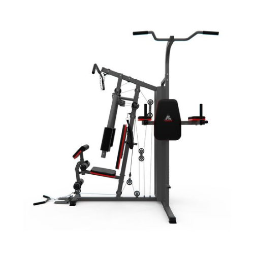 Силовой комплекс DFC D7004 (D7003 + опция брусья)