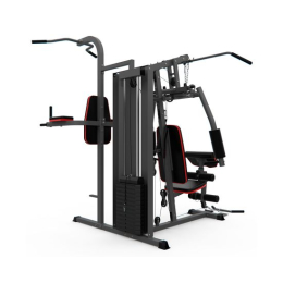 Силовой комплекс DFC D7004 (D7003 + опция брусья)