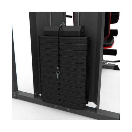 Силовой комплекс DFC D7004 (D7003 + опция брусья)