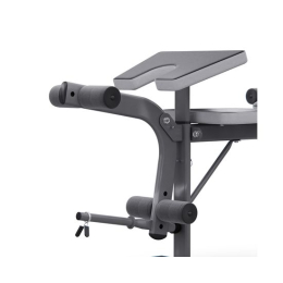 Скамья со стойками под штангу DFC D703 PRO с партой для бицепса