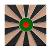 Мишень для дартса DFC SISAL