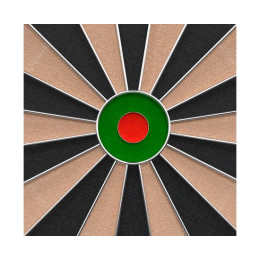 Мишень для дартса DFC SISAL